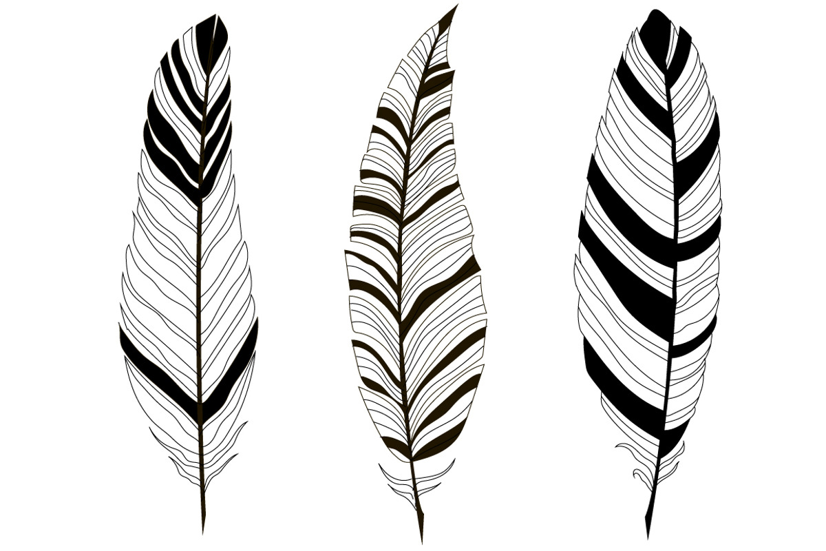 Feathers hand drawn set, a Decorative Illustration by Tierre3012 (Photo 4 of 5)