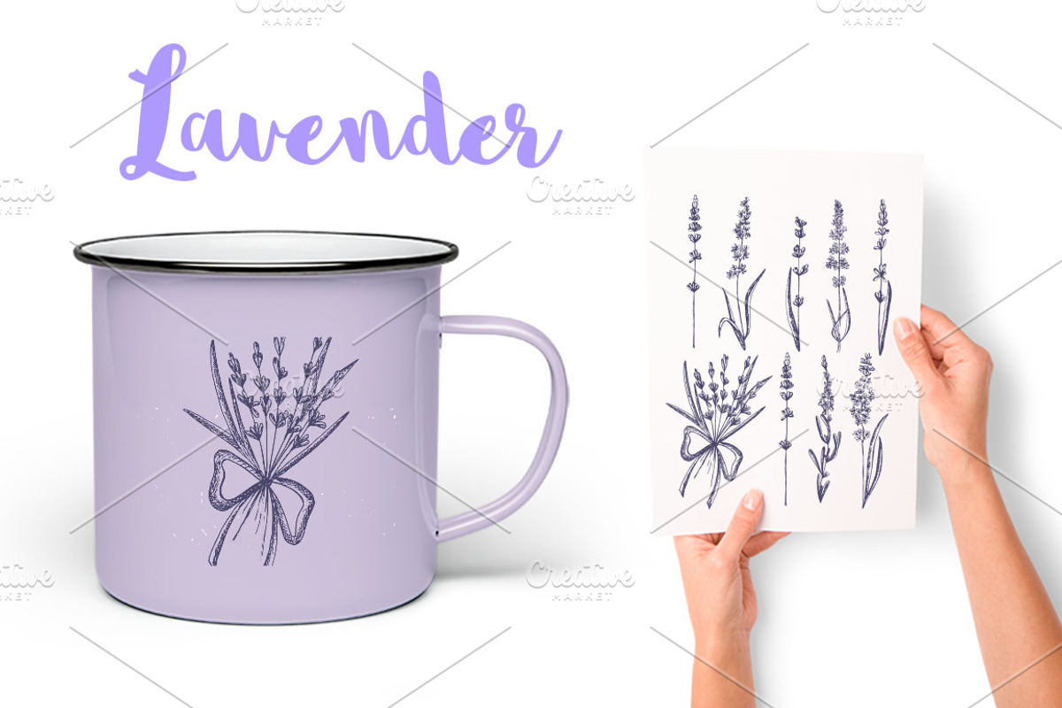 Lavender in Provence, an Illustration by TashaDraw (Photo 6 of 8)