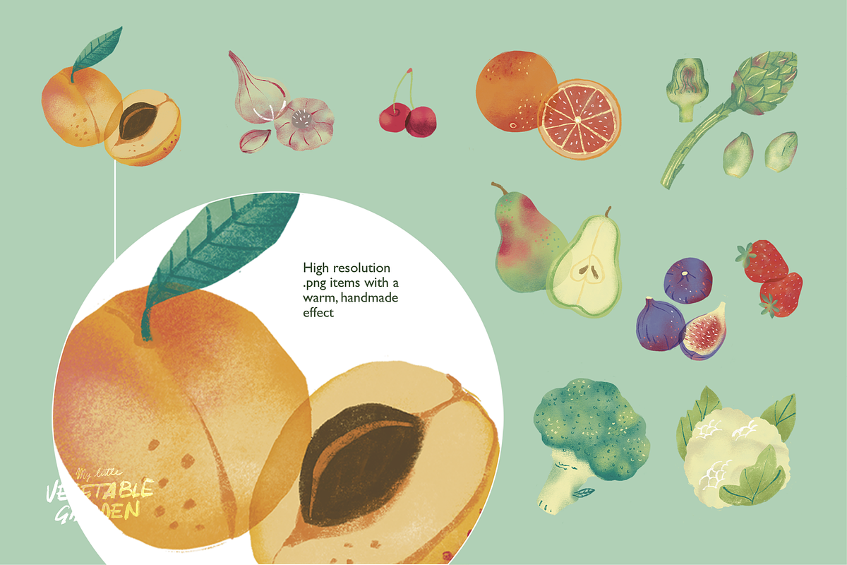 My Little Vegetable Garden, a Food Illustration by Sara Zanello (Photo 3 of 13)
