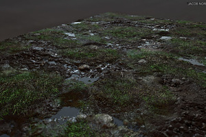 Textures - Grass, Mud, Puddles, a Textures & Material 3D Model by PurePolygons