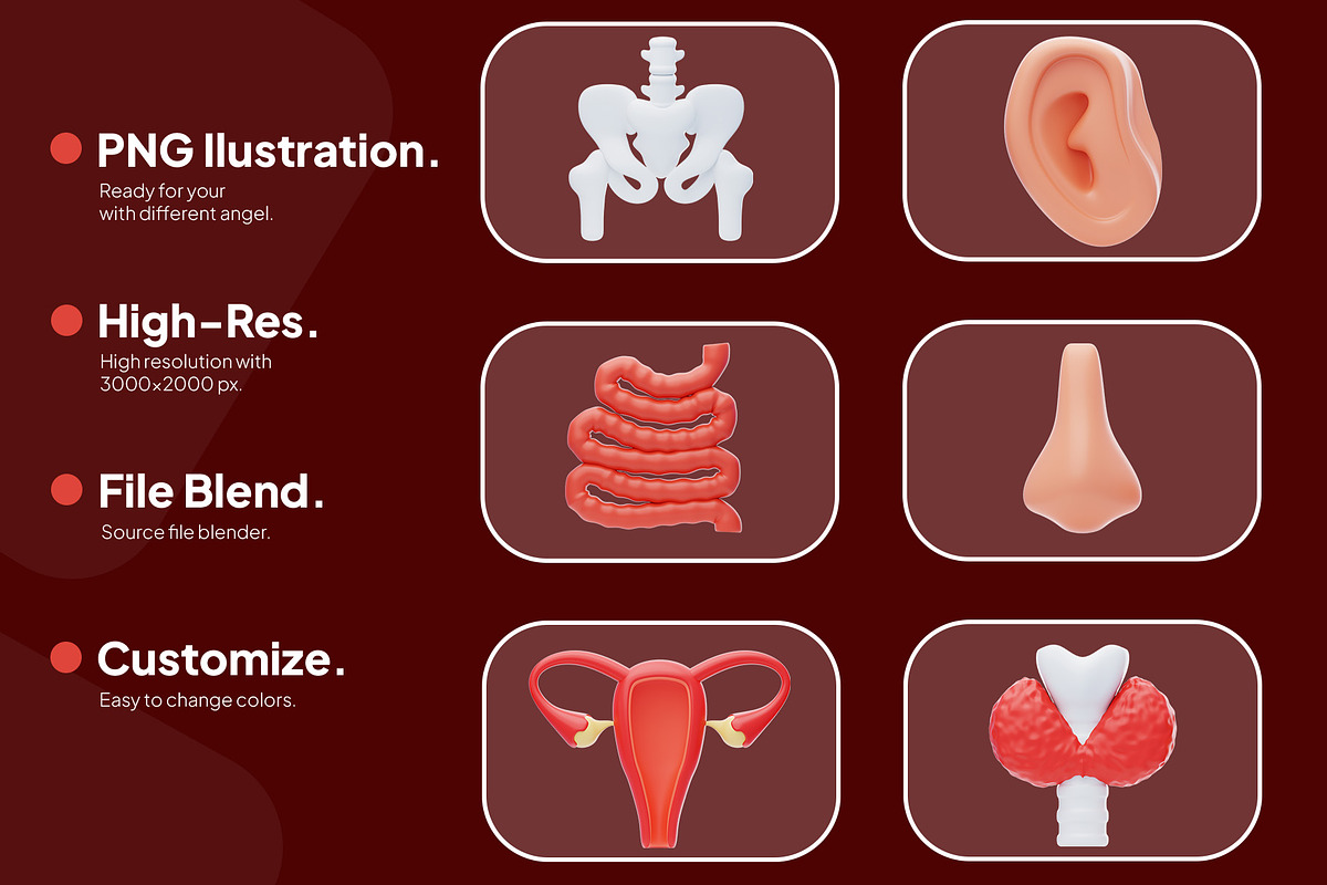 Human Organ Icon Pack, an Object 3D Model by novia99design (Photo 2 of 8)