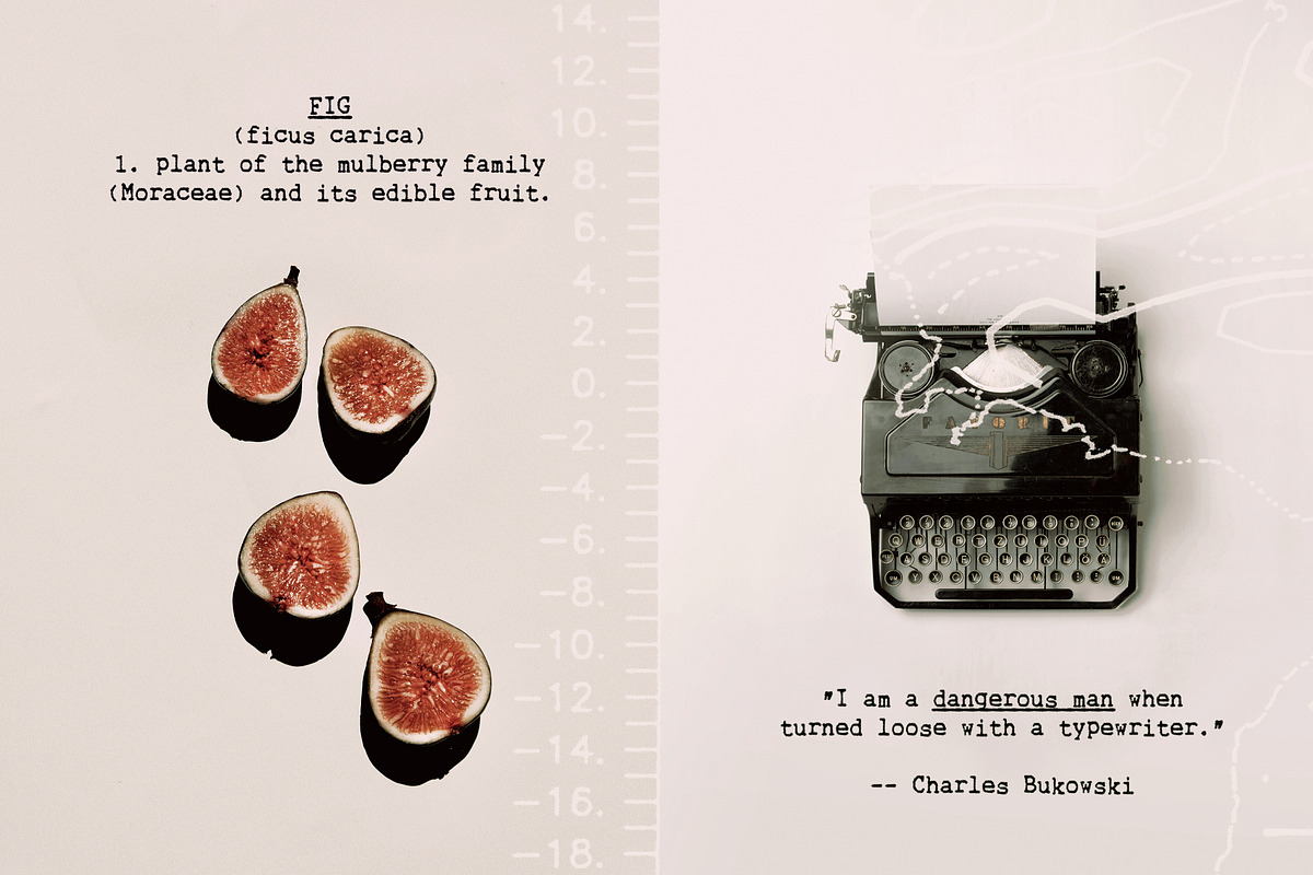 Blue Typewriter SVG font, a Serif Font by Ana's Fonts (Photo 3 of 10)