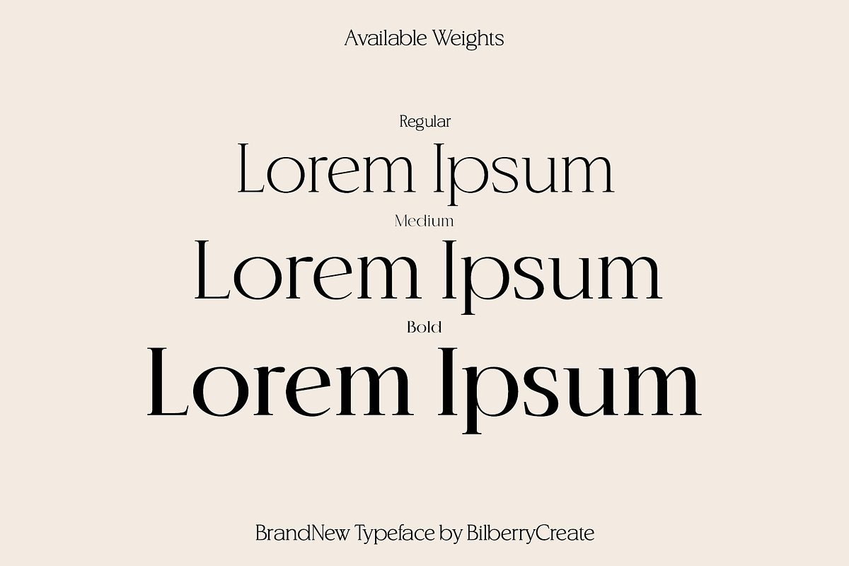 BrandNew – Luxury Serif Family, a Serif Font by BilberryCreates (Photo 2 of 16)