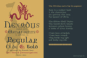 Nexodus, a Serif Font by Fontanatype (Thumbnail 10 of 11)