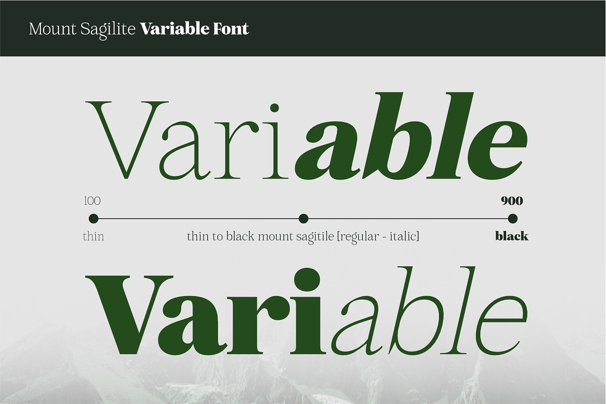 Mount Sagilite – Modern Serif Family, a Serif Font by Afkari Studio (Photo 6 of 12)
