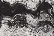 Twisted by Nature Vol 1, a Texture Graphic by Jennifer Lauren Creative (Thumbnail 4 of 19)