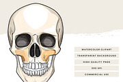 Vector Human Anatomy Clipart, a Person Illustration by Design Scotch (Thumbnail 8 of 9)