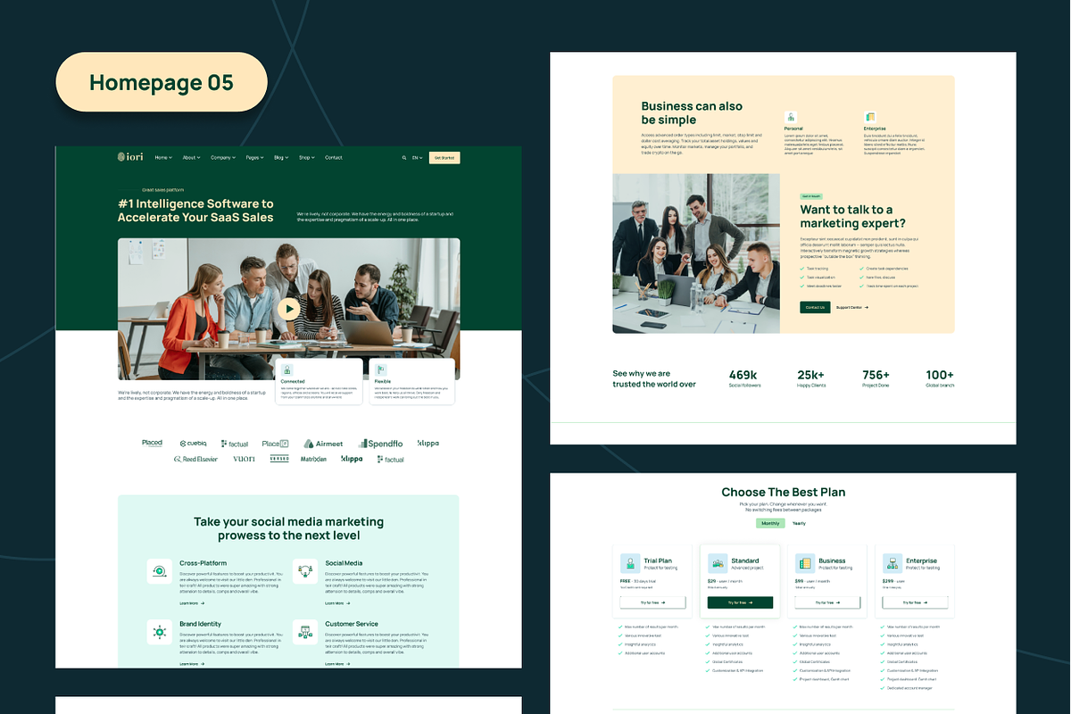 iori - Startup SaaS NextJS Template, a React Template by AliThemes (Photo 6 of 13)
