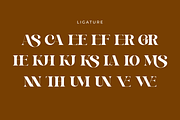Astelin, a Serif Font by zaaintype (Thumbnail 7 of 15)