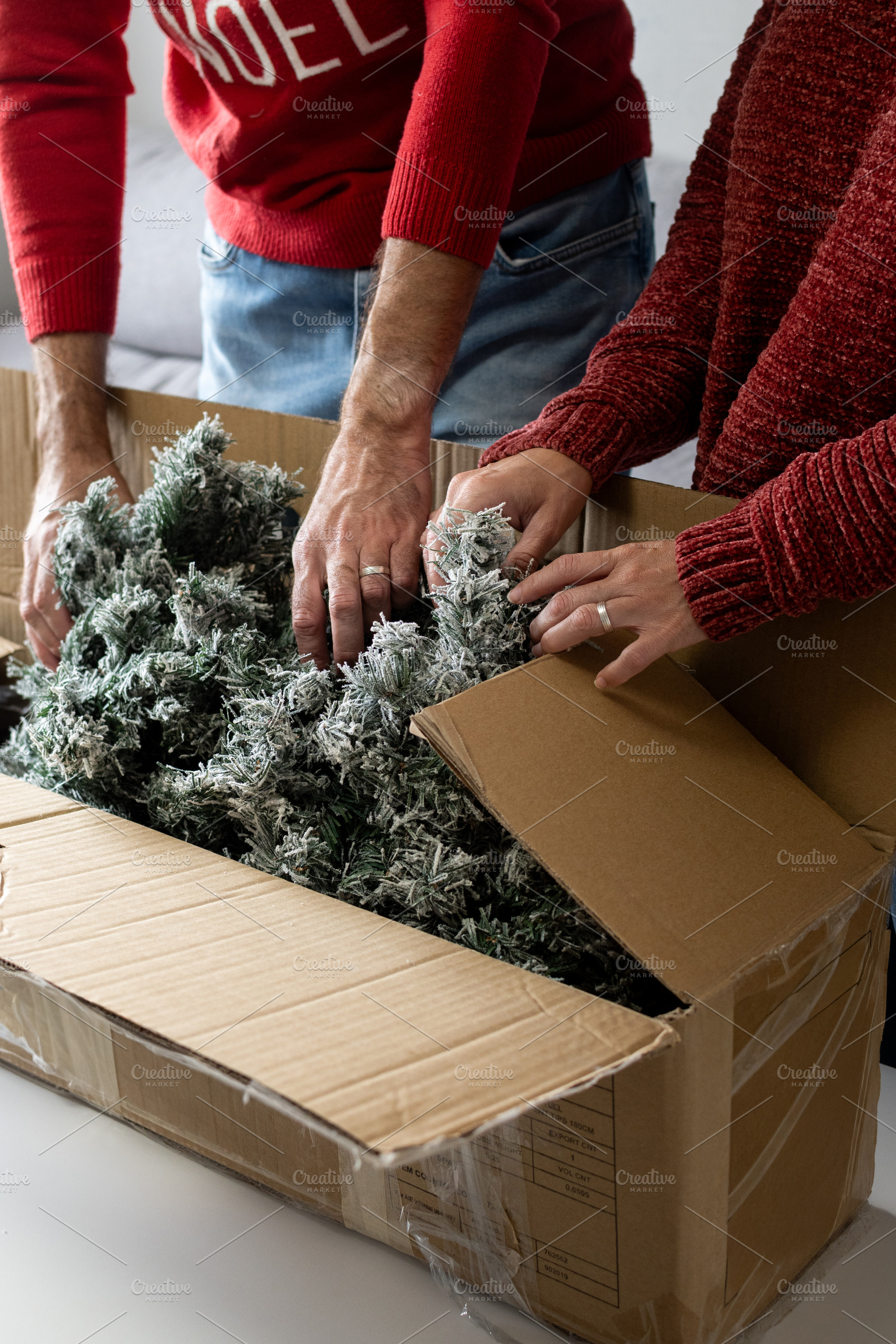 Couple Unpacking Christmas tree, a Holiday Photo by etorres69