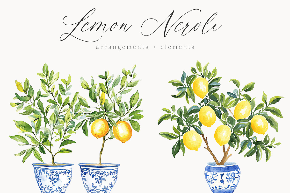 New! Timeless Library Edition, a Graphic by Isabelle Salem (Photo 75 of 211)