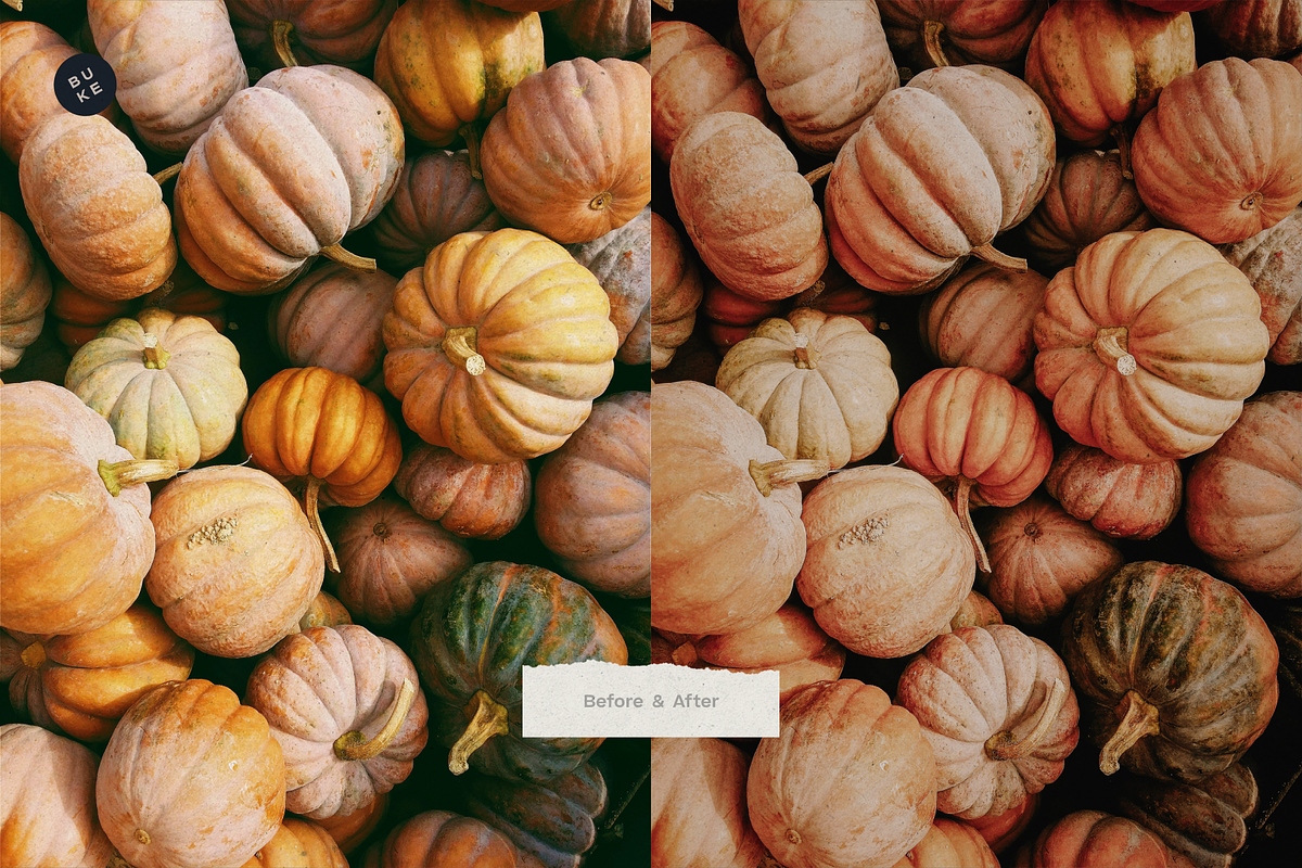 West Fall – 5 Lightroom Presets Pack, a Preset Add-On by SHOOM HOUSE (Photo 7 of 7)