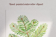 Watercolor pine cones clipart set, an Illustration by svetodesign (Thumbnail 6 of 9)