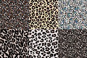 24 Animal Print Patterns Set, a Pattern Graphic by Anis Illustration (Thumbnail 5 of 5)