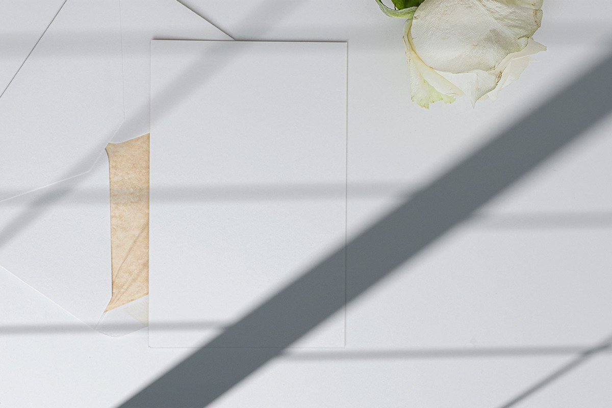 Shadow Backdrops Videos Collection, a Mockup by rebrandy (Photo 19 of 20)