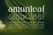 Sunday Dreams Serif Font, a Font by Compaq_Creative (Thumbnail 9 of 10)