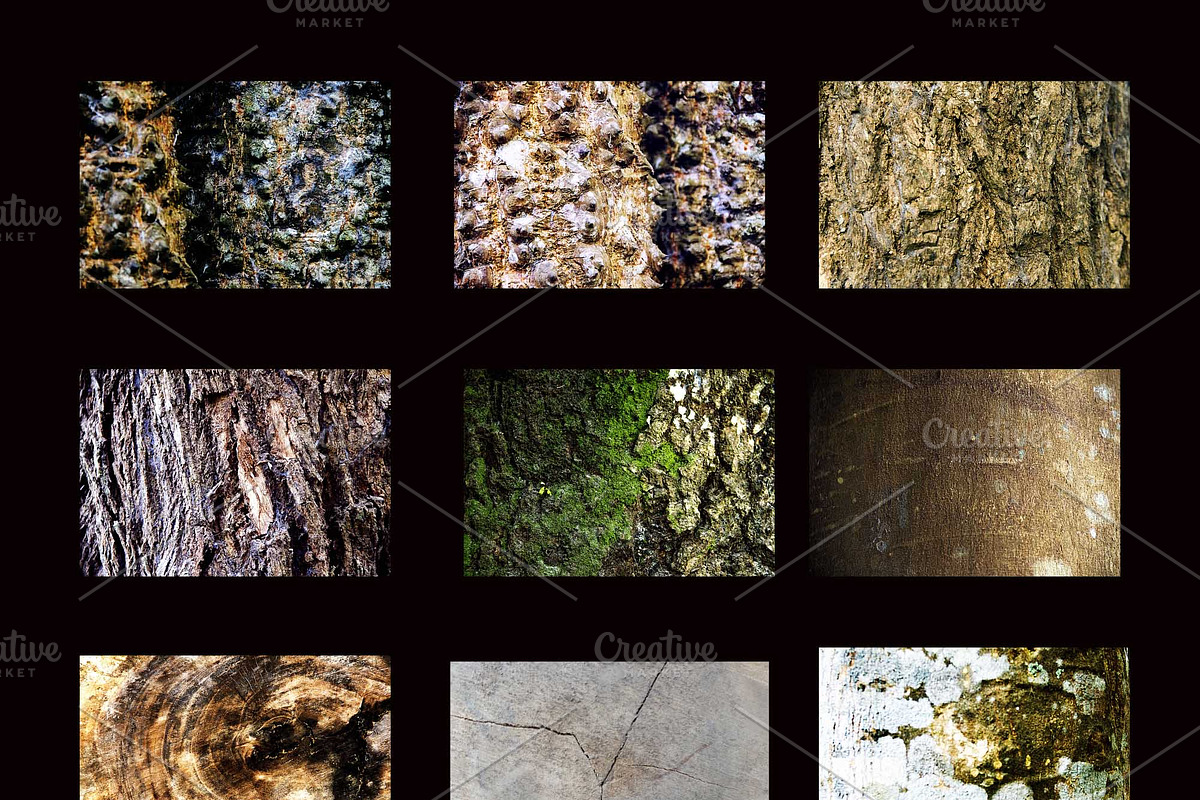 50 Wood & Tree Textures Bundle Pack preview 3
