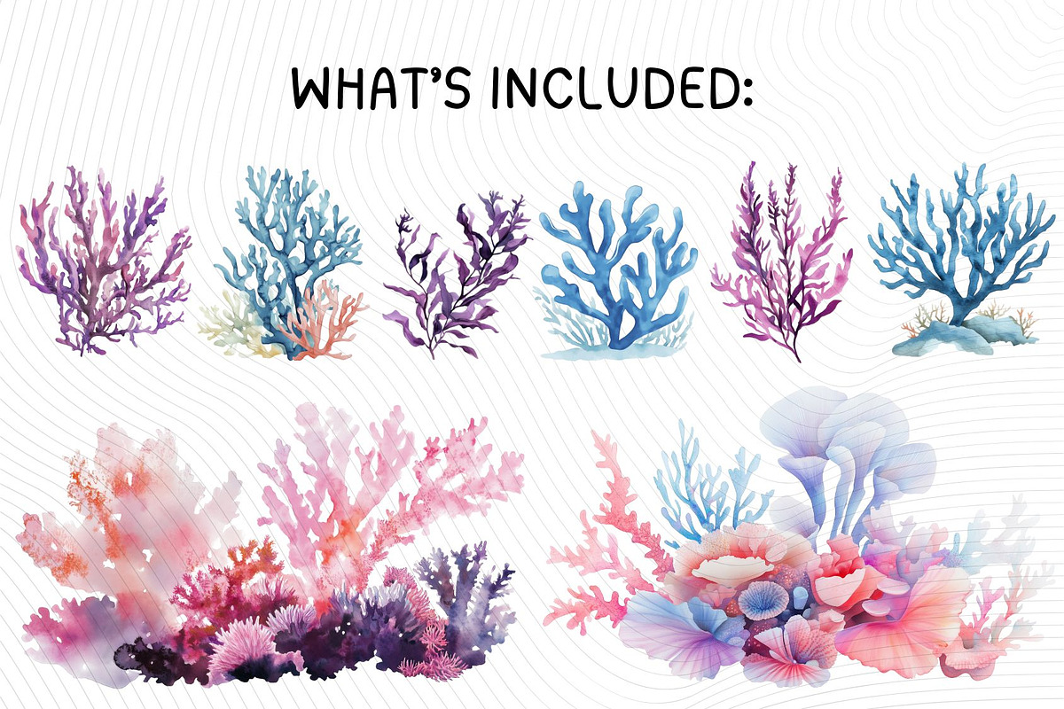Cute Sea Life Clipart, an Illustration by PassionPNGcreation (Photo 12 of 13)