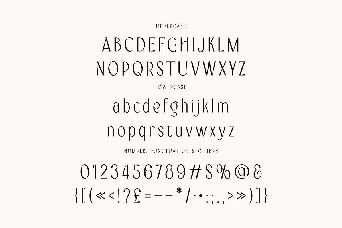 Angela Ravis Elegant Sans, a Sans Serif Font by Cruzine (Photo 5 of 9)