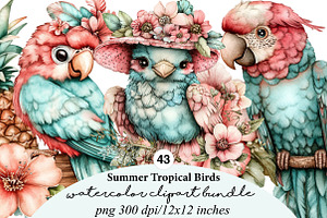 summer tropical birds clipart, an Illustration by GatewayDesign
