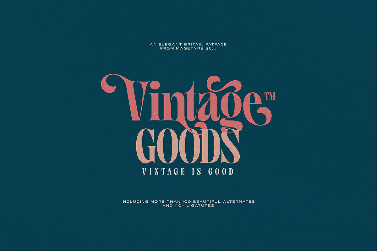 Great Font Bundle, a Font by MageType (Photo 4 of 22)
