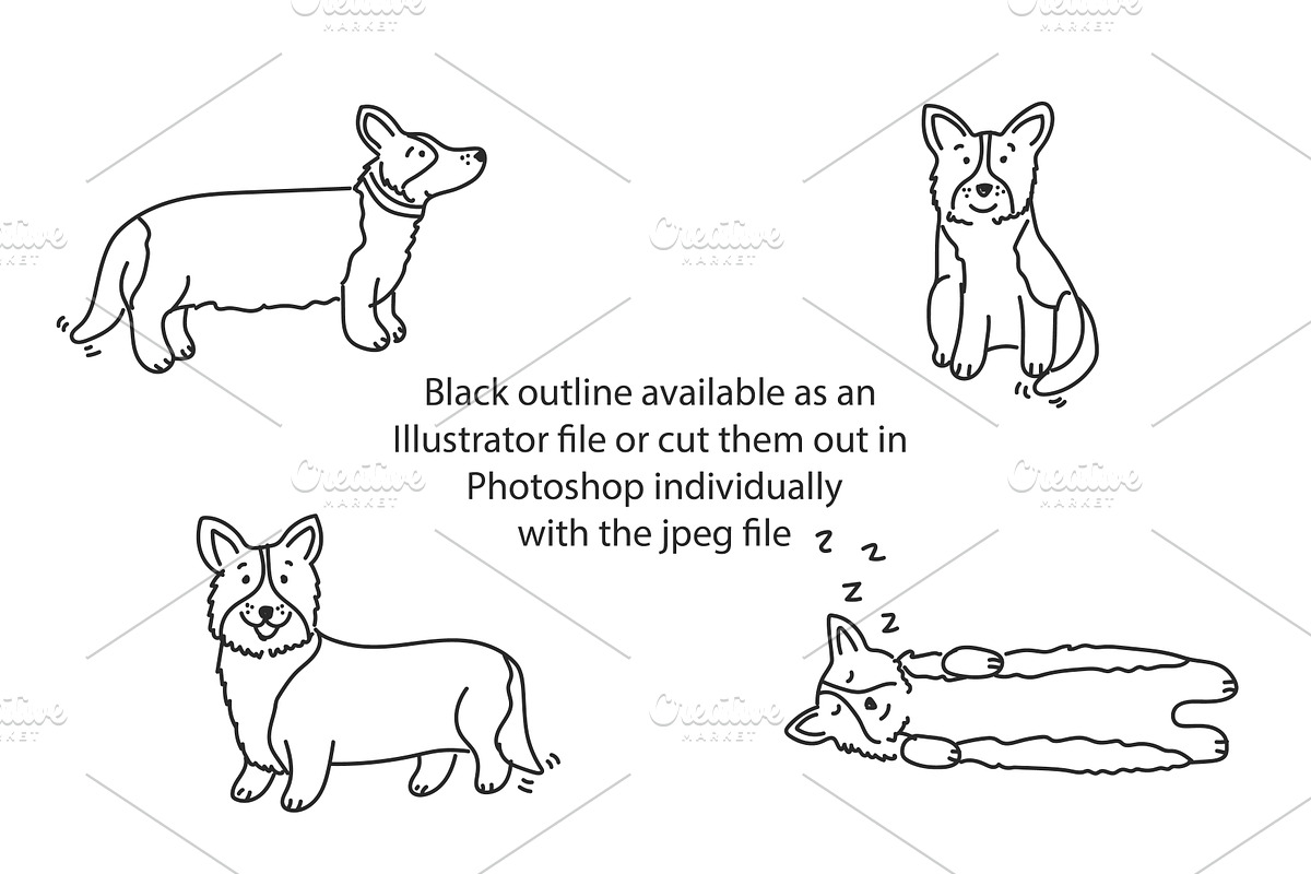 Cute doodle Welsh Corgis, an Animal Illustration by Liz Pengilley Studio (Photo 2 of 4)