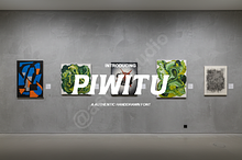 Piwitu | Elegant Modern Serif Typefa
