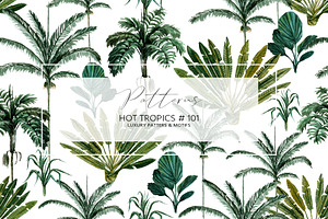 Hot Tropics