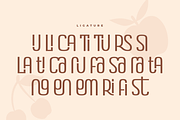 Slapstick - Ligature Fancy Font, a Sans Serif Font by Hamz Studio (Thumbnail 16 of 16)