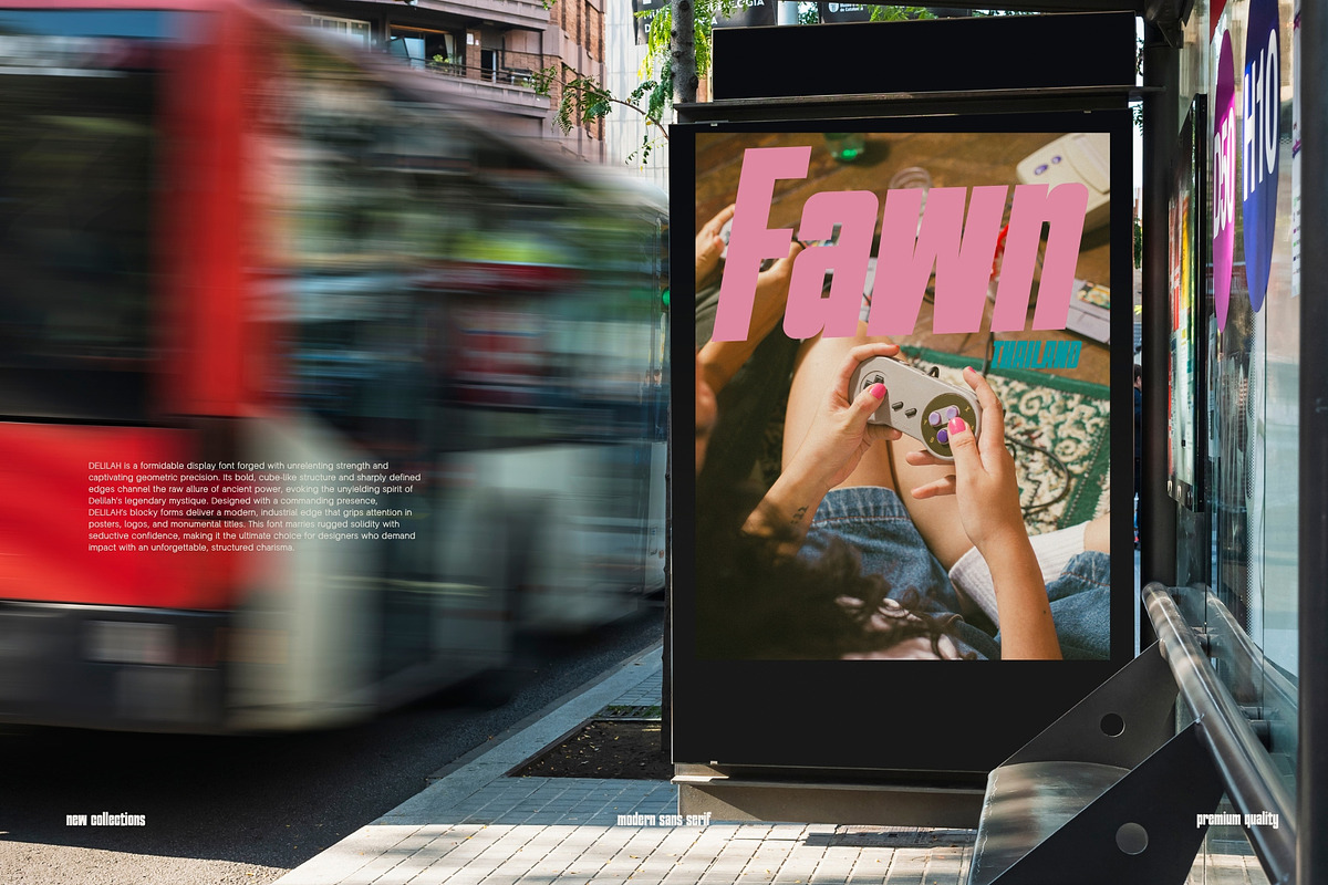 FAWN MODERN DISPLAY SAN SERIF FONT, a Sans Serif Font by BURSTYPE (Photo 2 of 9)
