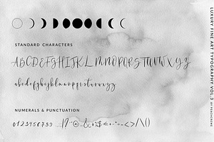 Wild Moon - Casual Script Font