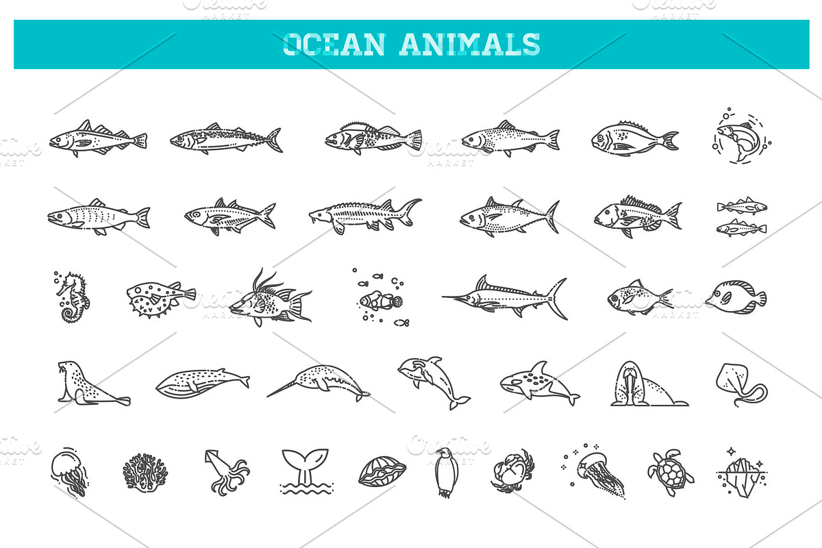 Ocean life. Underwater Fauna icons, an Outline Icon by Tettygreen (Photo 1 of 2)