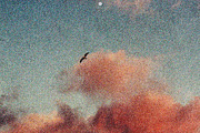 Postcard Print Photo Effect, a Texture Graphic by Freezerondigital (Thumbnail 17 of 18)