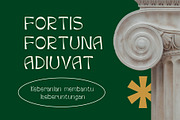Nouvola Refined Typeface, a Script Font by Fontura Design (Thumbnail 5 of 9)