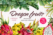 Tropical Dragon Fruit Pitaya Clipart, a Food Illustration by Elena Malgina Clipart (Thumbnail 1 of 12)