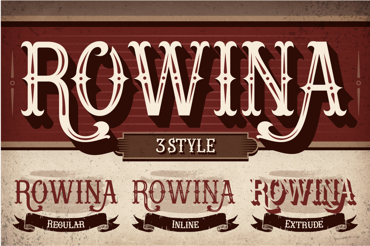 Rowina, a Serif Font by Burntilldead (Photo 4 of 12)
