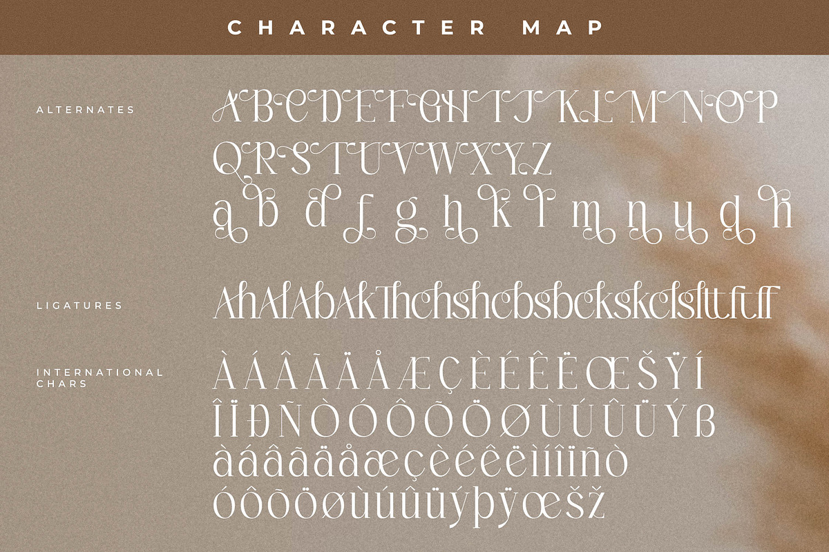 Enchanted Hermion Font Duo, a Serif Font by Storytype Studio (Photo 12 of 15)