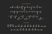Dellanie Signature - Business Font, a Script Font by Pixesia Studio (Thumbnail 14 of 15)