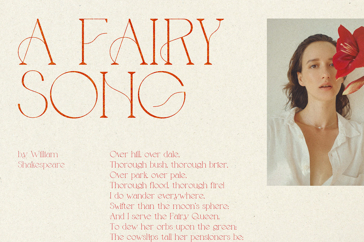 Novelty Serif Font, a Serif Font by iStar Design (Photo 8 of 14)