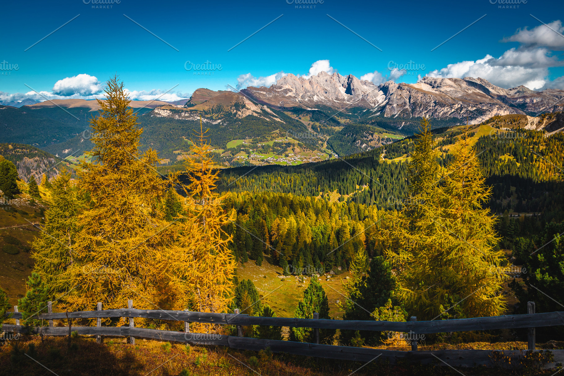 Colorful larches on the slope, a Nature Photo by Alpine Dreams