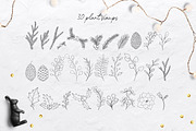Winter Plants Procreate Stamps, a Brush Add-On by Little Nordic Atelier (Thumbnail 3 of 4)