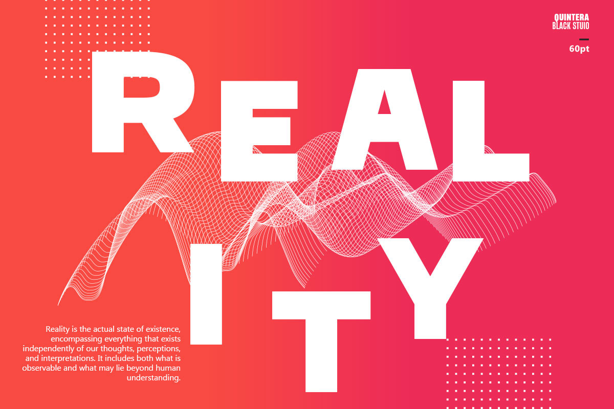 BS Quintera, a Sans Serif Font by Black Studio (Photo 10 of 12)