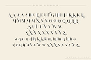 Lostgun | Discount 20%  OFF, a Serif Font by Qaratype (Thumbnail 18 of 20)