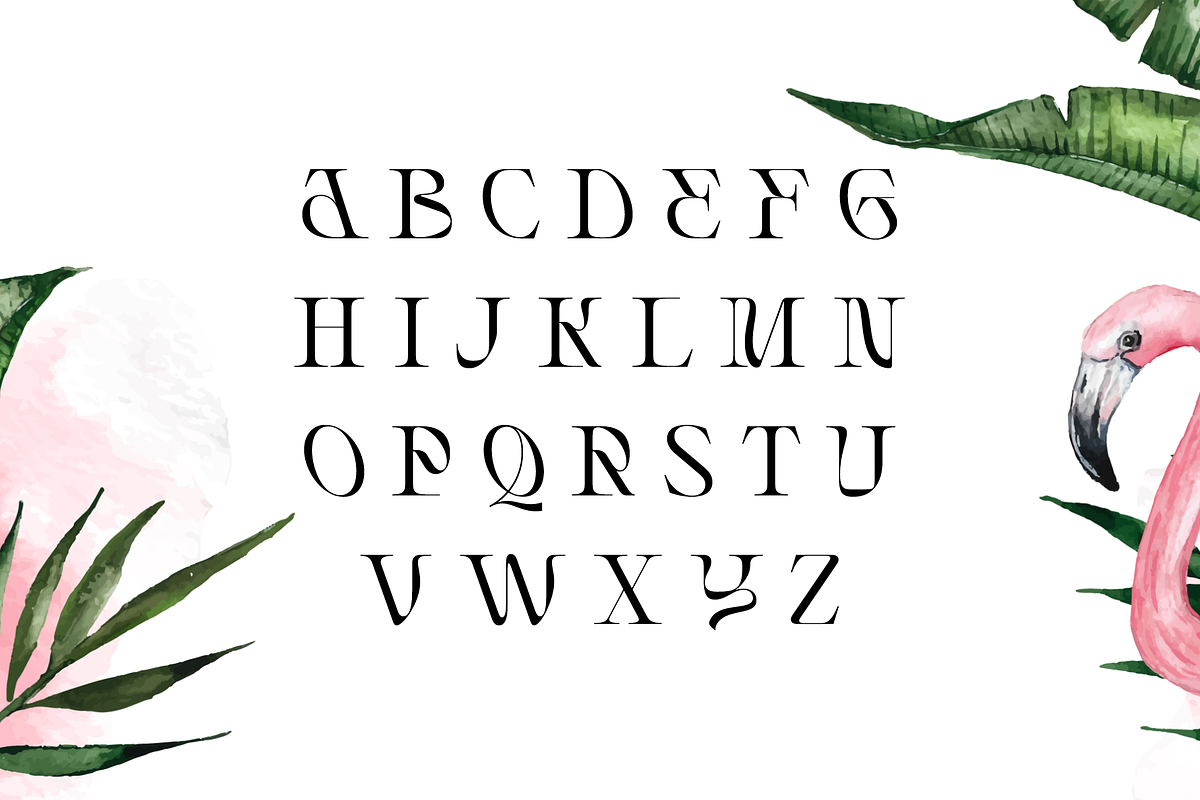 Rogain - Modern Serif, a Serif Font by LoneArmy (Photo 9 of 12)