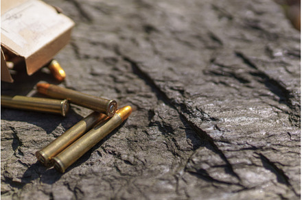 Rifle bullets and cartridges close, an Industrial Photo by HalfPoint