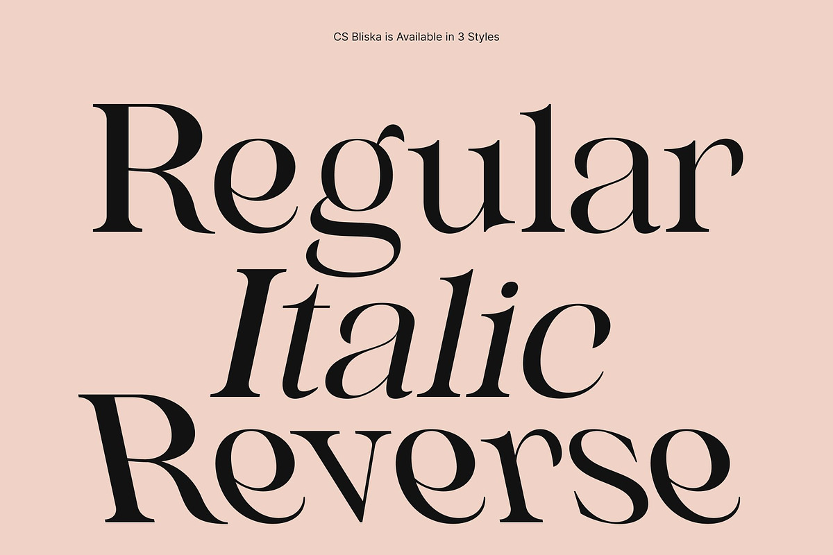 CS Bliska – Elegant Serif Font, a Serif Font by Craft Supply Co. (Photo 4 of 8)