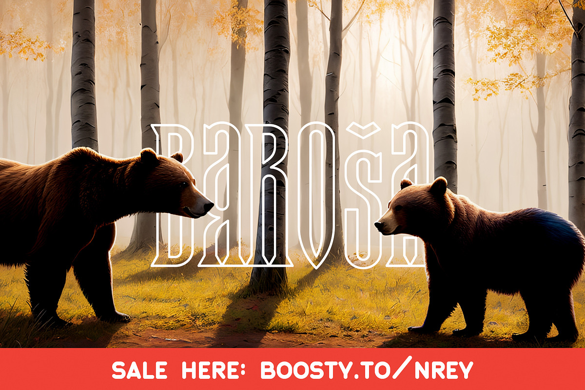Baroša, a Serif Font by NREY (Photo 1 of 10)
