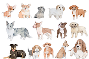 190+ Hand-drawn Watercolor Dogs, an Animal Illustration by ArtbyHien (Thumbnail 9 of 12)