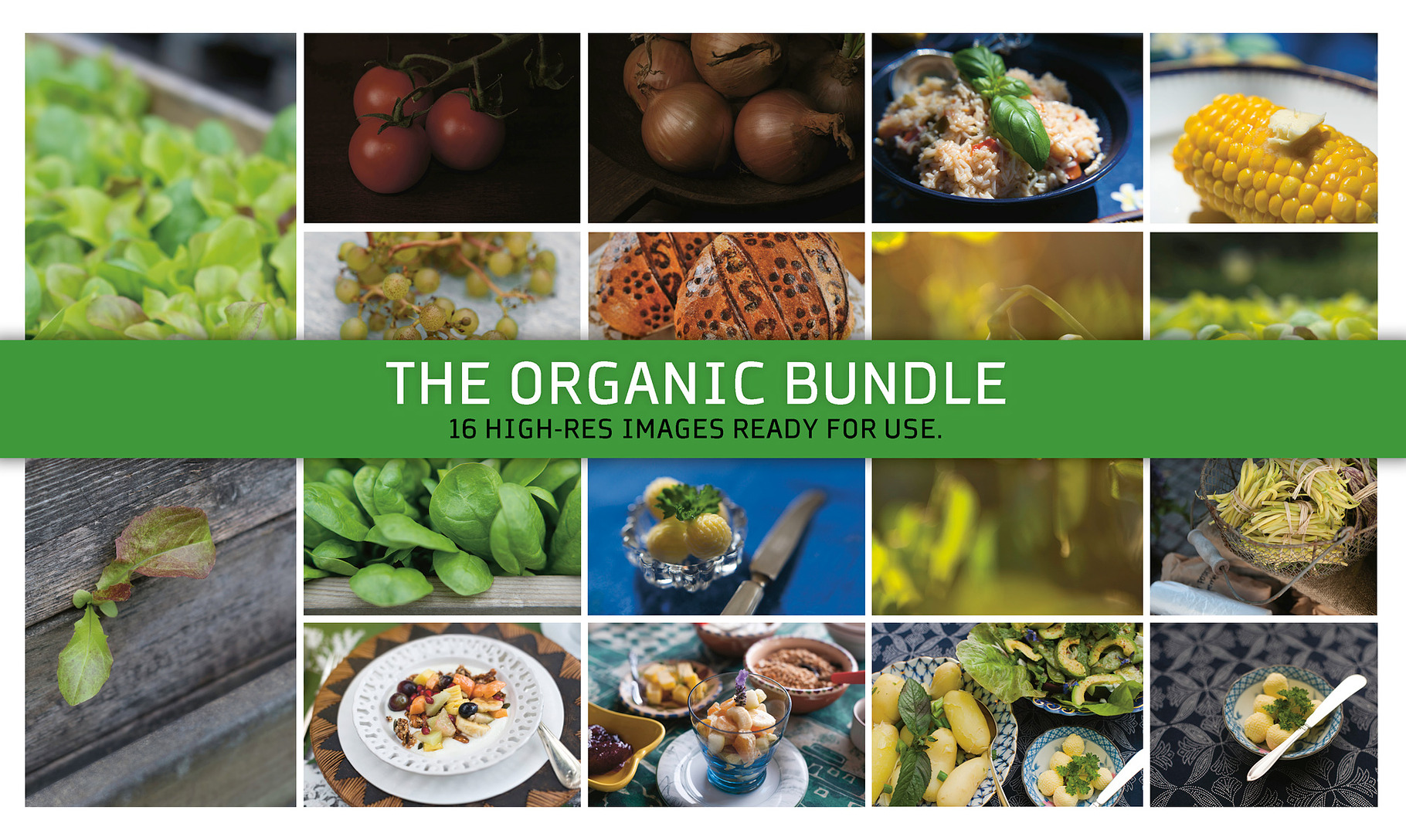 The Organic Bundle