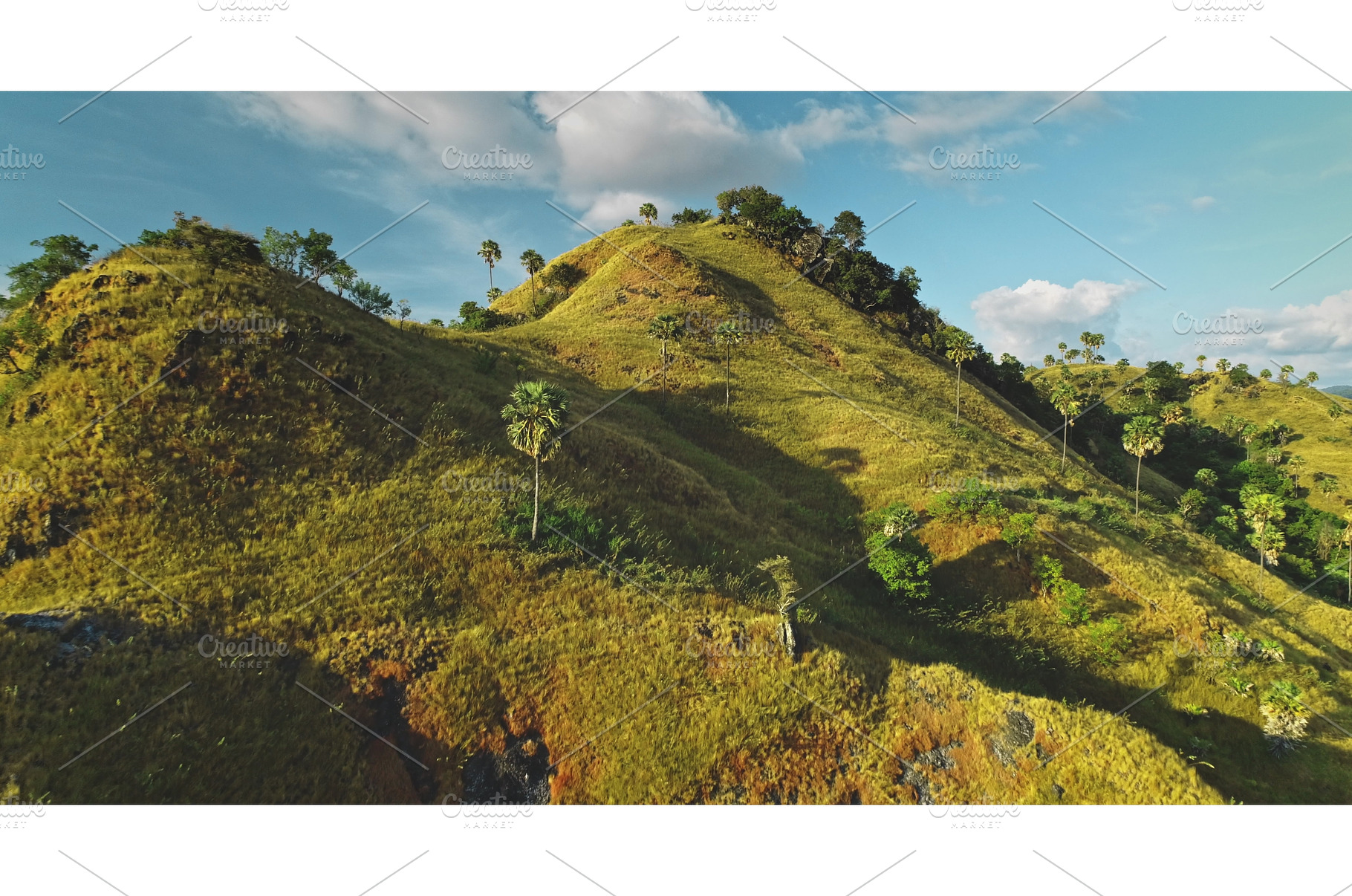 Rolling hills bathed in golden, a Nature Photo by Goinyk